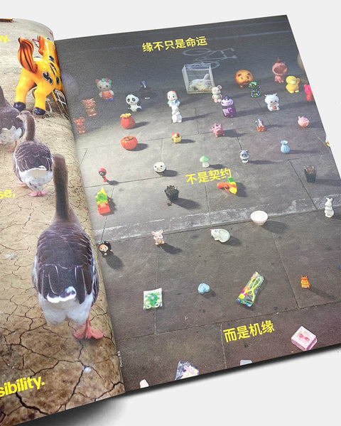 Issue 08 #DESTINY/缘