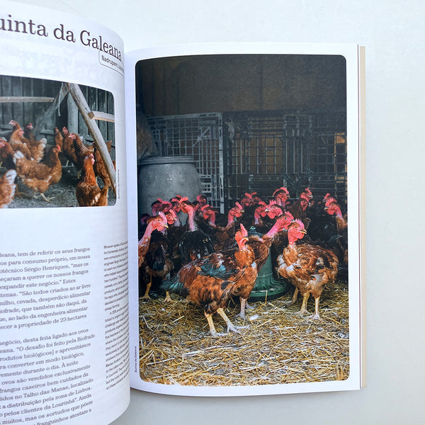 Issue2 - Frango Assado: Grilled Chicken