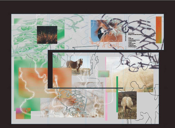 shape of raw to come (CD)