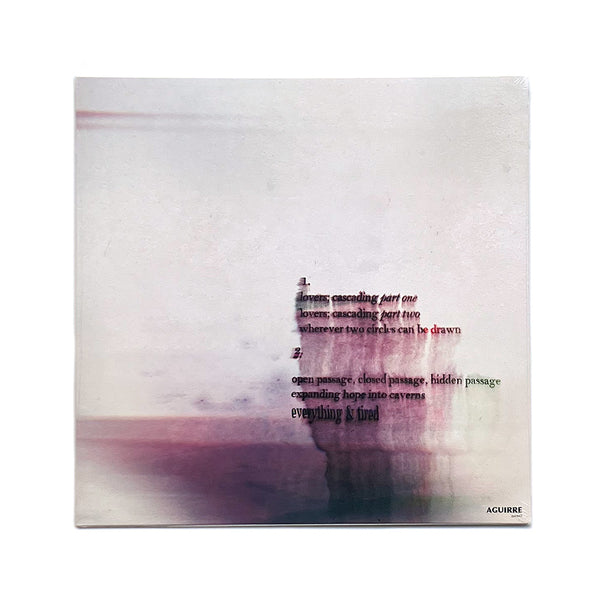 Meaning Turns To Whispers (LP)