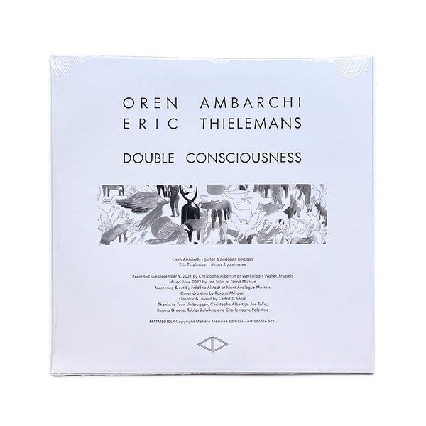 Double Consciousness