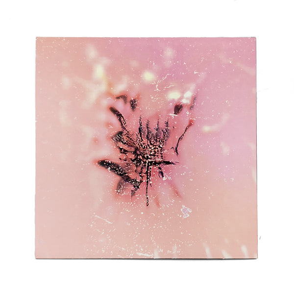 Triz (2LP)