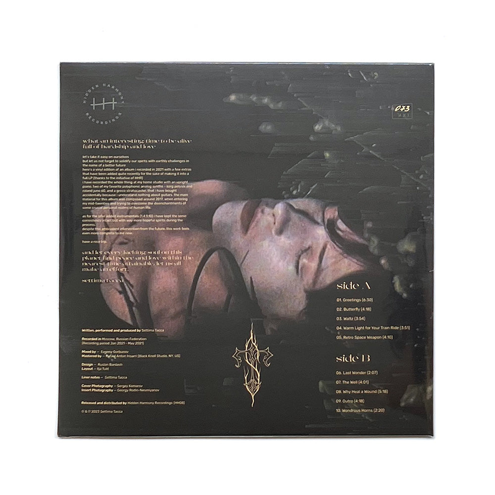 Settima Tacca - Wondrous Feelings of Ages Long Gone(LP 180g) - Hidden  Harmony Recordings