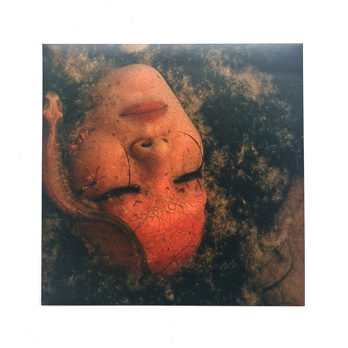 300枚限定　ジュ・セイ / 申（もうす）　　LPレコード ju sei - 申/ Mousu (LP, clear) - Basic Function – OVEN UNIVERSE