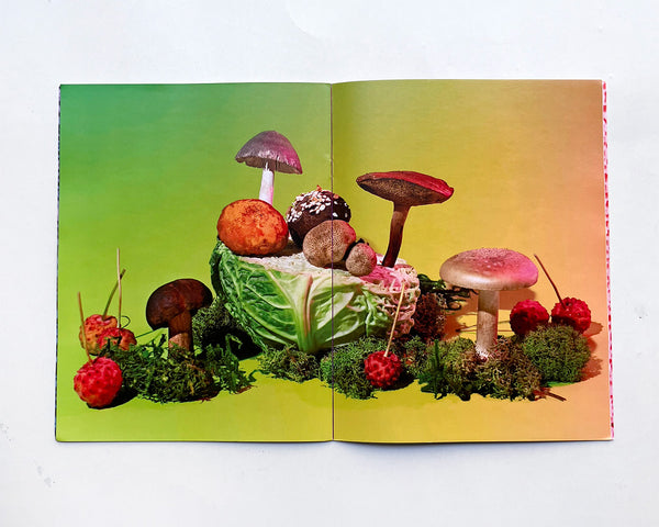 Mushrooms & Friends 2