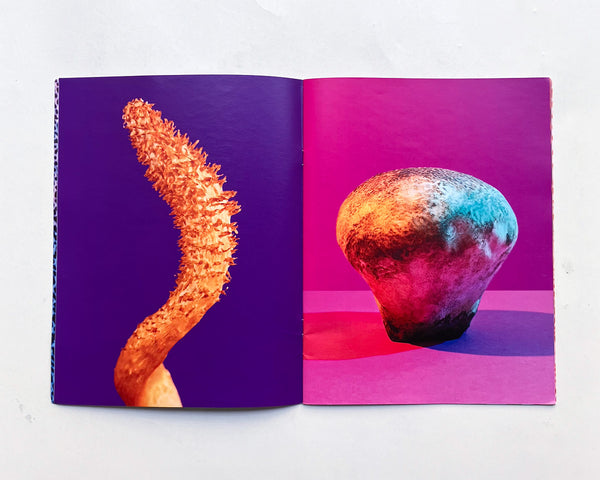Mushrooms & Friends 2