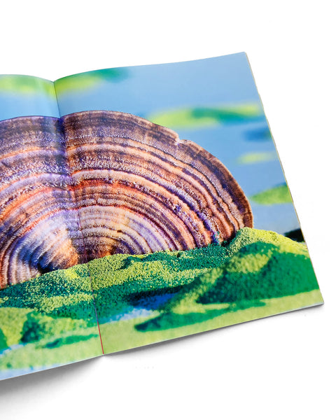 Mushrooms & Friends 3 (2nd printing)