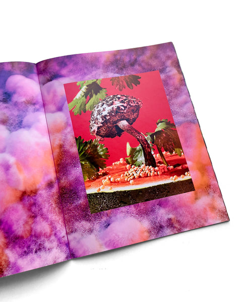 Mushrooms & Friends 3 (2nd printing)