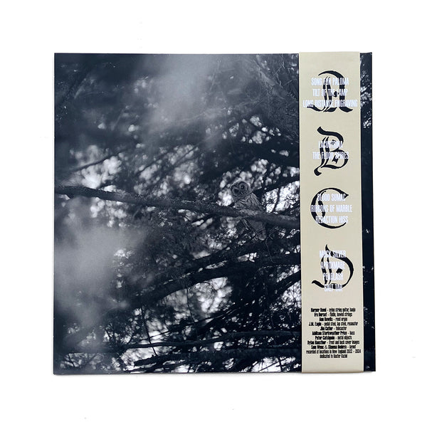 The Wringing Cloth (2LP)