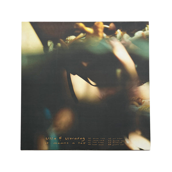 It Means A Lot (LP)
