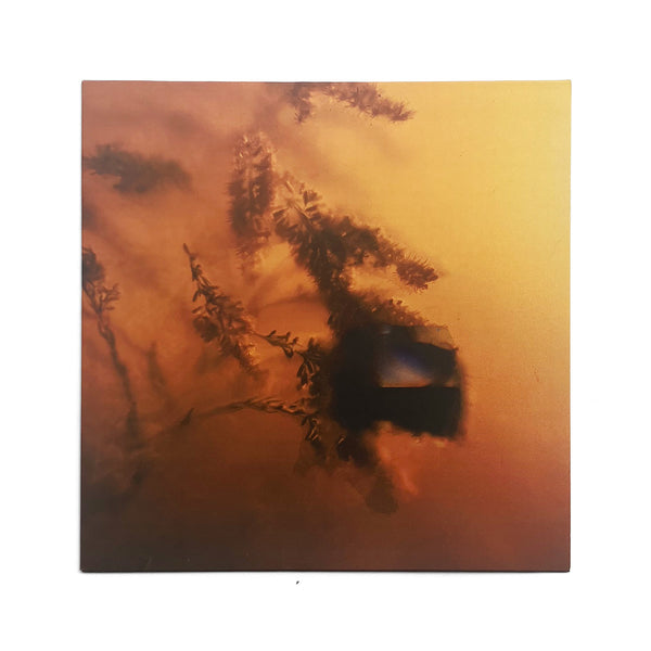 It Means A Lot (LP)
