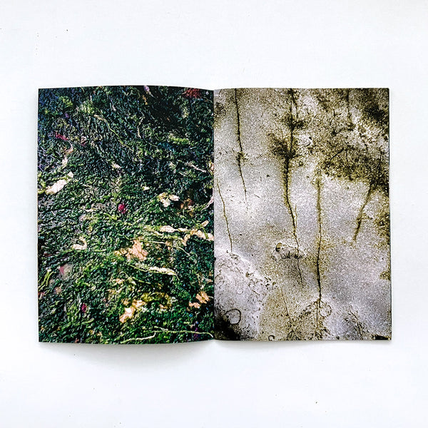 Stone Paintings