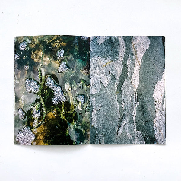 Stone Paintings