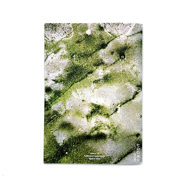 Stone Paintings