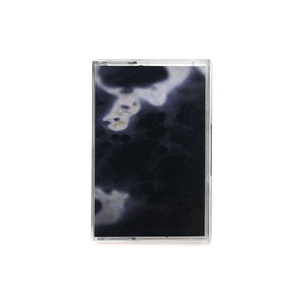 Darwin Grosse - Fresco(CS) 表