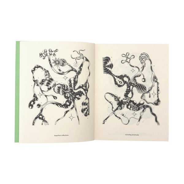 moth among butterflies(2nd Edition)