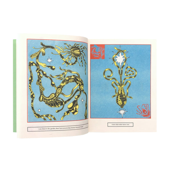 moth among butterflies(2nd Edition)