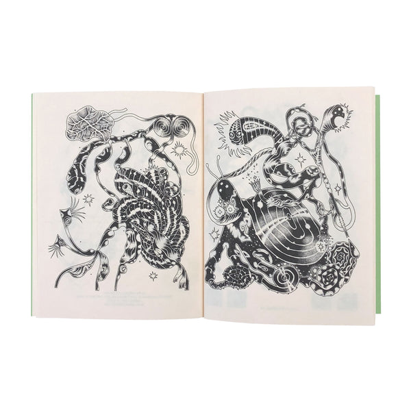 moth among butterflies(2nd Edition)