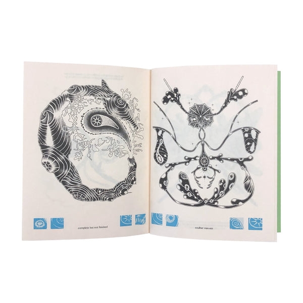 moth among butterflies(2nd Edition)