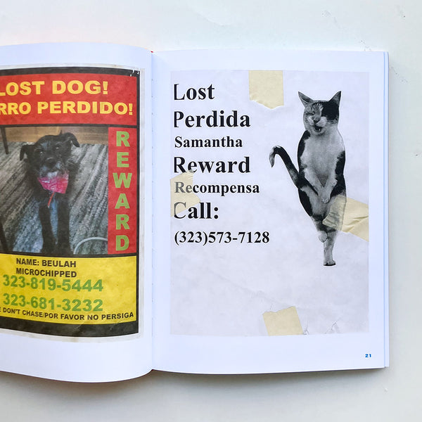 Still Missing