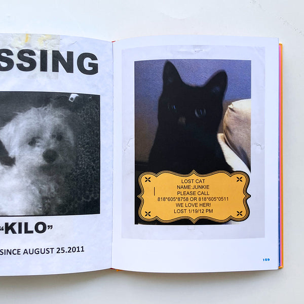 Still Missing