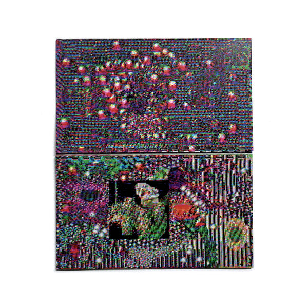 Video Paintings 2