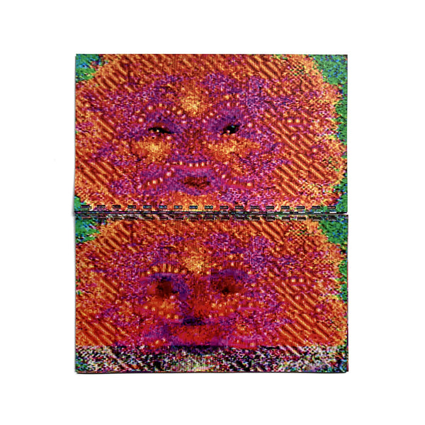 Video Paintings 2