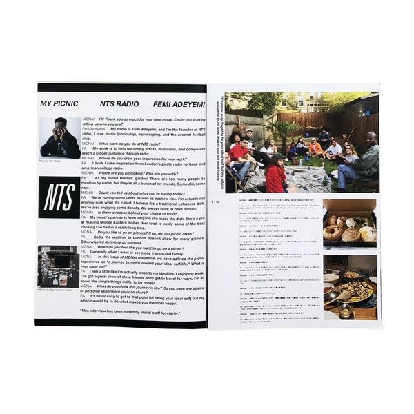 MCNAI Issue03 PICNIC