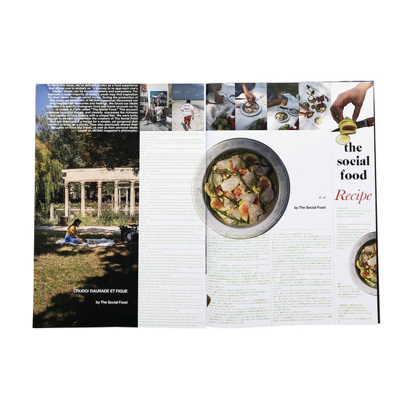 MCNAI Issue03 PICNIC