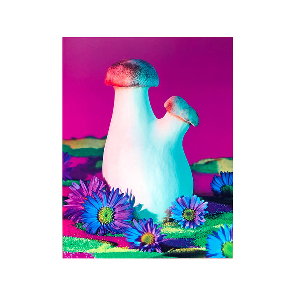 Mushrooms & Friends 2