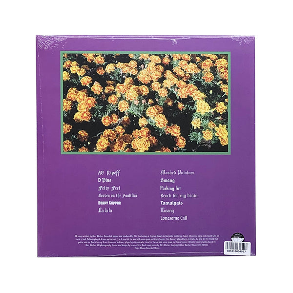 Heaven on the Faultline (LP)