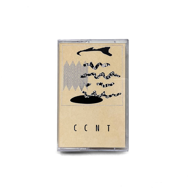 CCNT (CS)
