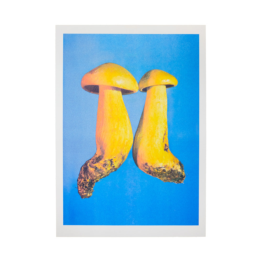 Tricholoma sulphureum Riso Print