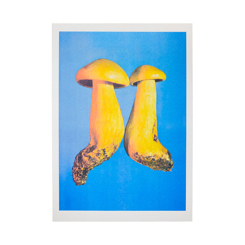 Tricholoma sulphureum Riso Print