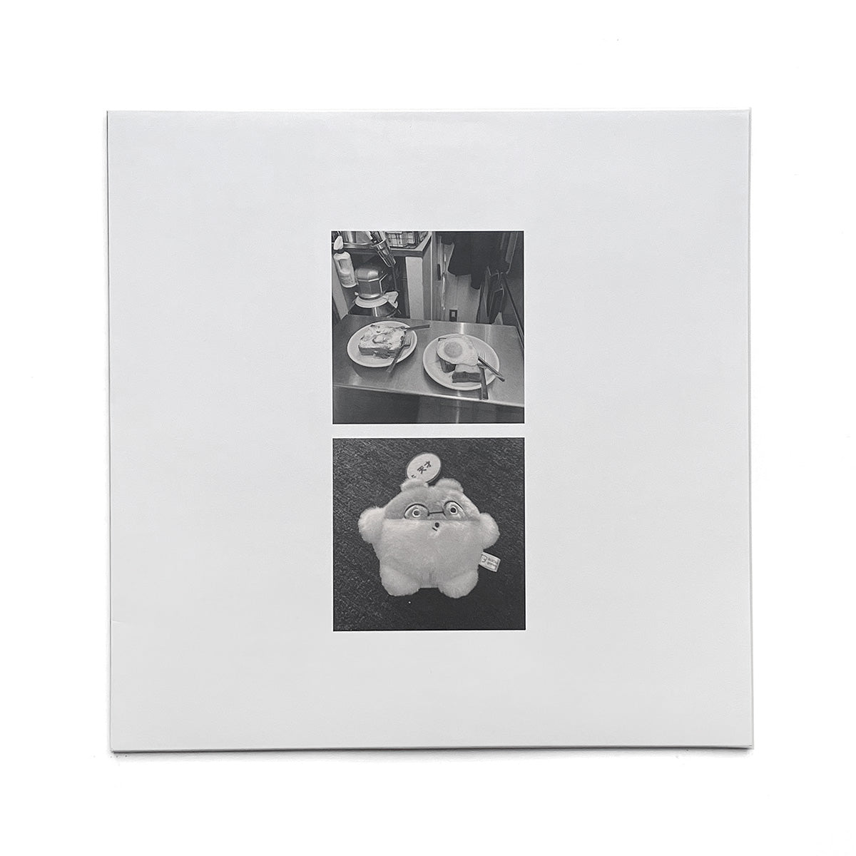 mathematical model 0010 (LP + poster)