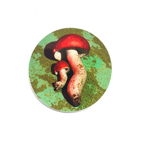 Russula Sticker