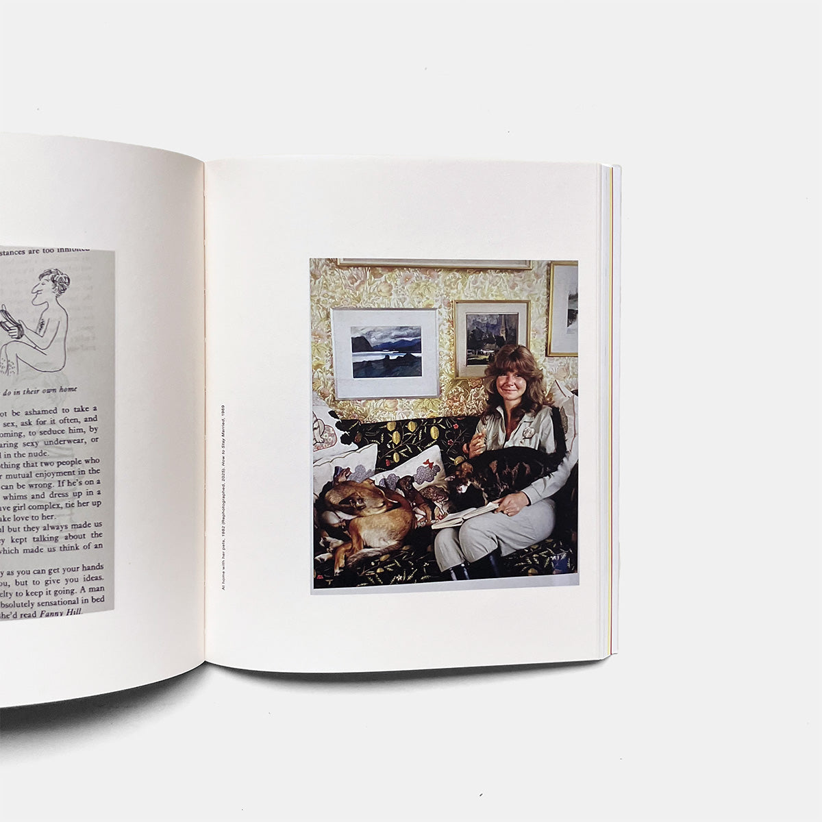MARFA JOURNAL - MARFA PARTY – OVEN UNIVERSE