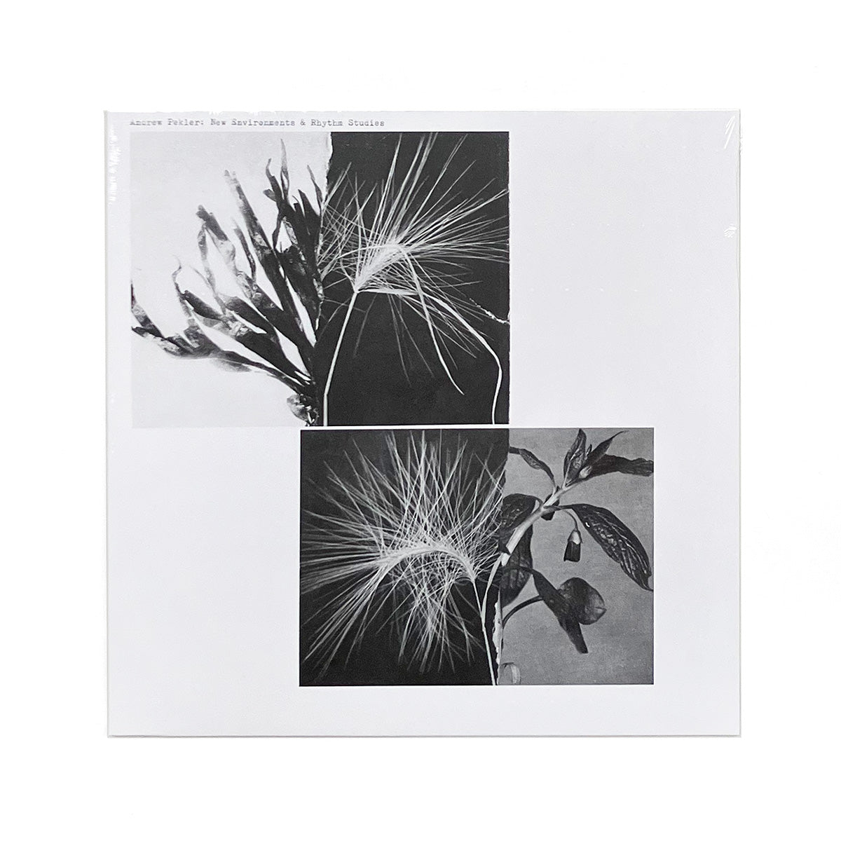 New Environments & Rhythm Studies (LP)