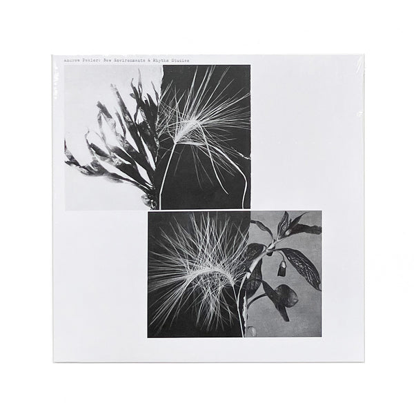 New Environments & Rhythm Studies (LP)