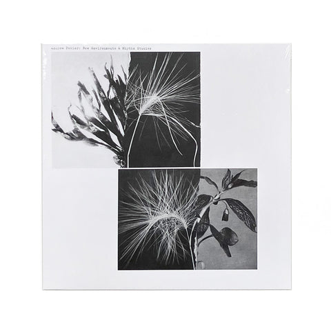 New Environments & Rhythm Studies (LP)