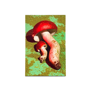 Russula Postcard