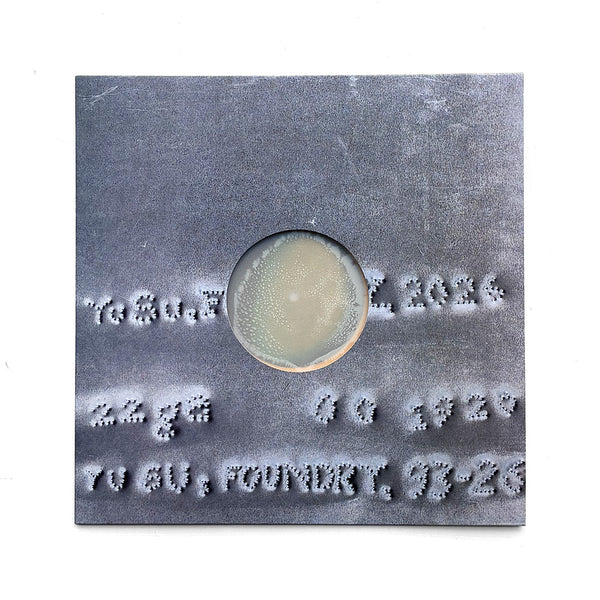Foundry (LP, color)