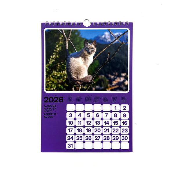 Cats of the Alps: 2026 Catlendar