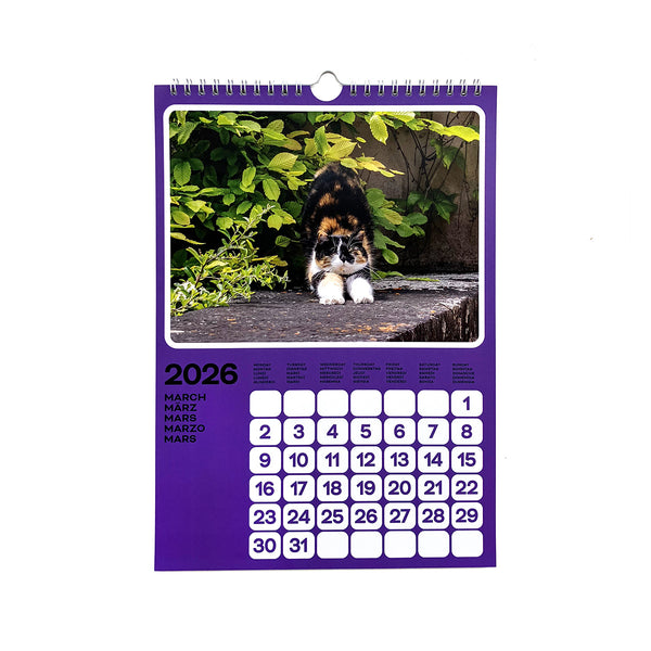 Cats of the Alps: 2026 Catlendar