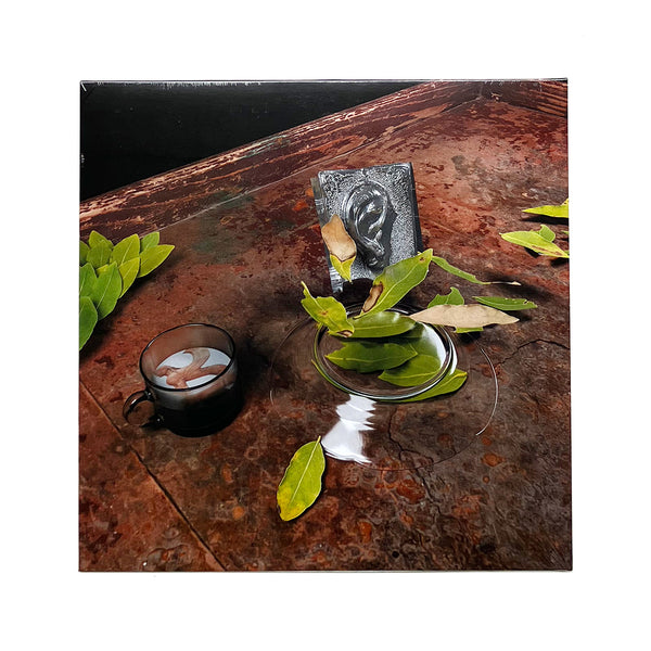 The Reintegration of the Ear (LP)