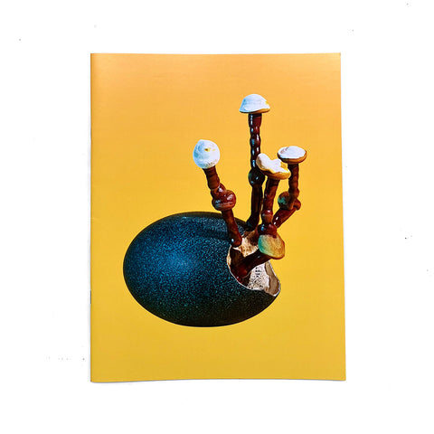 Mushrooms & Friends 4