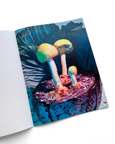 Mushrooms and Friends 3 (2nd printing)