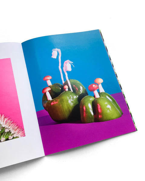 Mushrooms and Friends 3 (2nd printing)