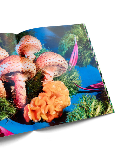 Mushrooms and Friends 3 (2nd printing)