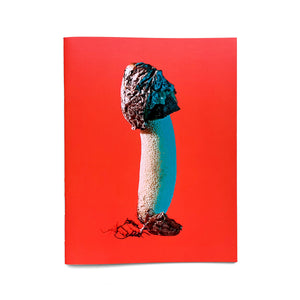 Mushrooms and Friends 3 (2nd printing)